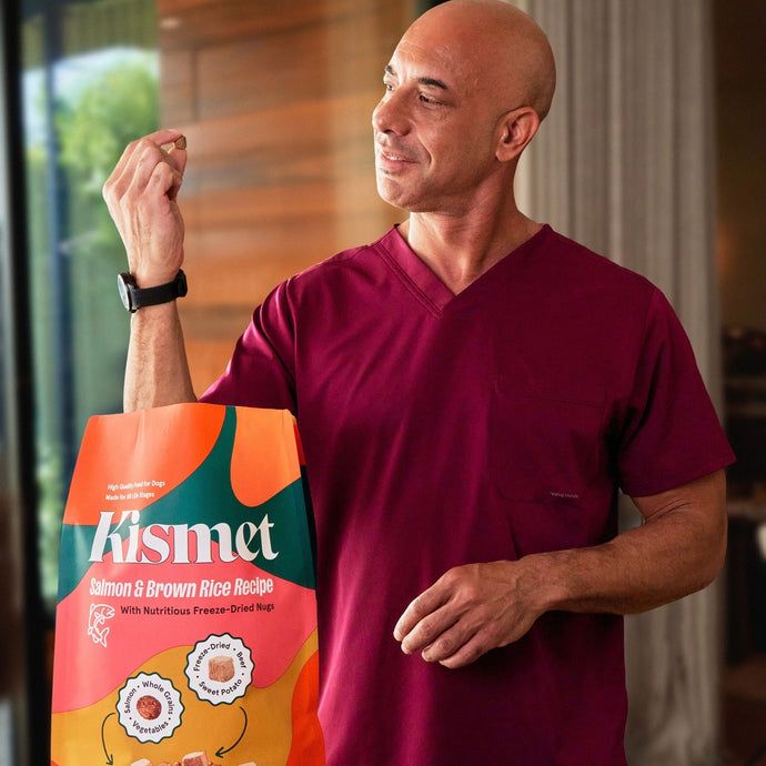 Ask Dr. Kwane: What's in Kismet's Recipes?