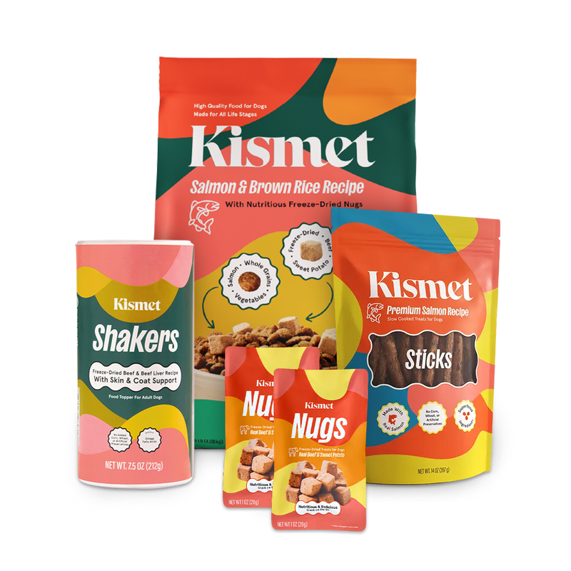 Premium Dog Starter Pack (Salmon) — 30% Off