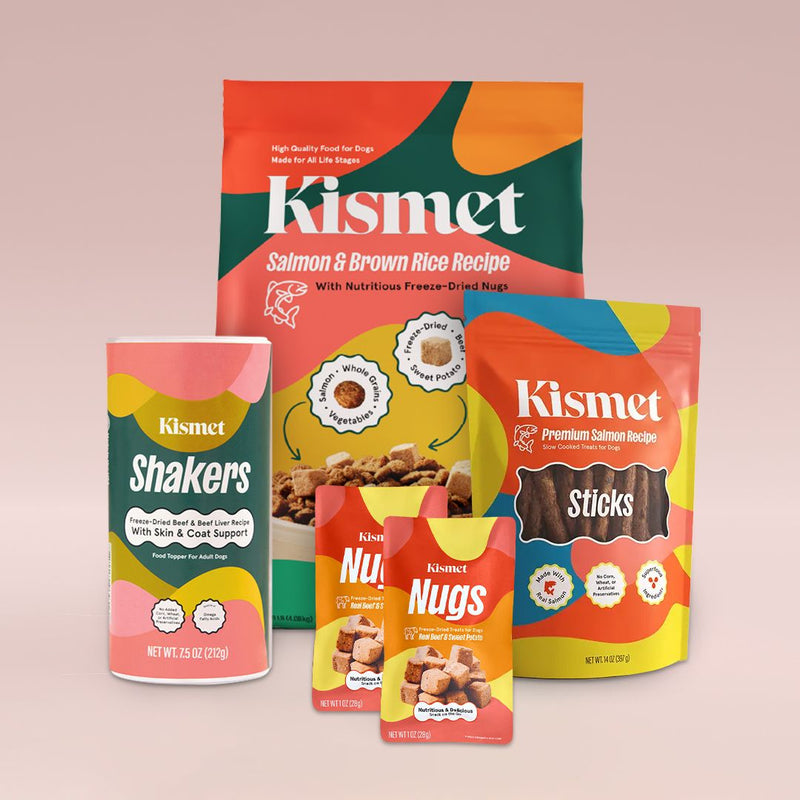 Premium Dog Starter Pack (Salmon)