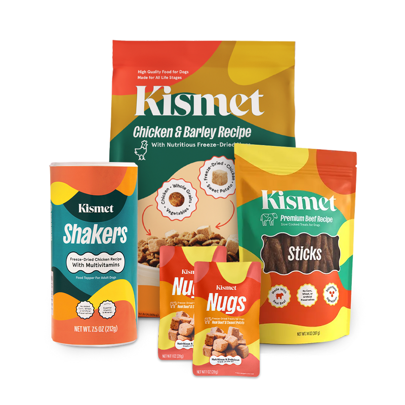 Premium Dog Starter Pack (Chicken) — 30% Off