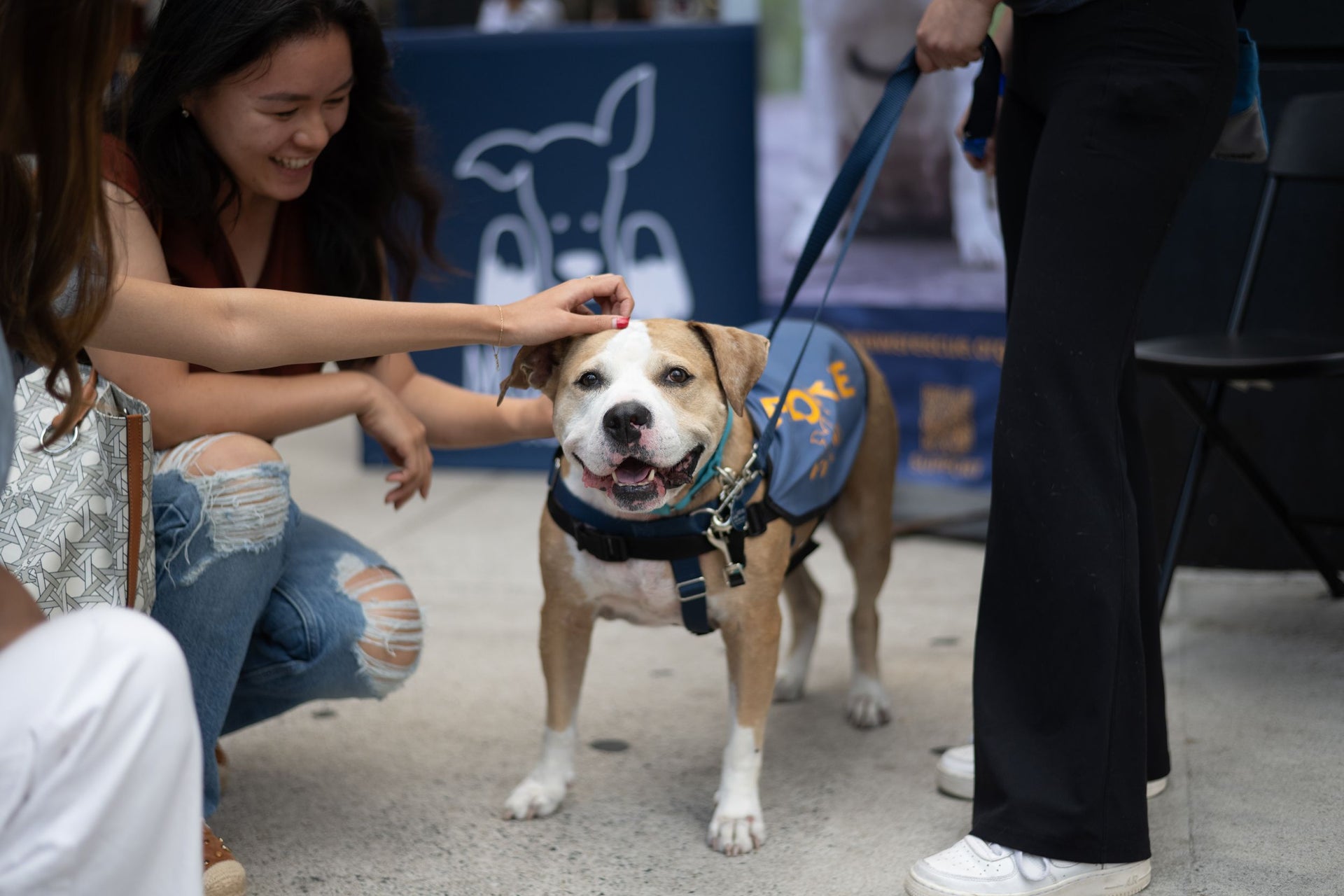 Shelter Spotlight: Muddy Paws Rescue