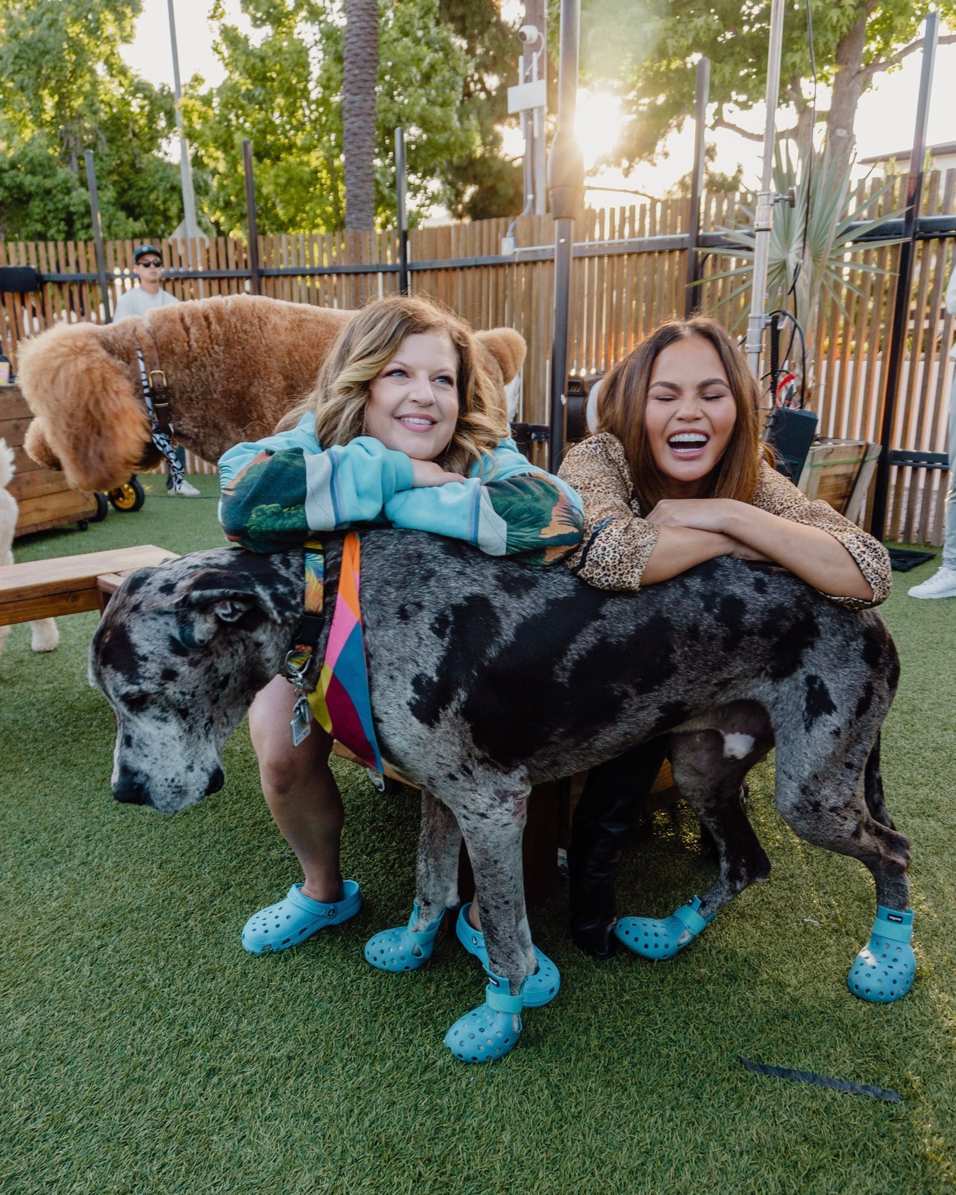 DOG PPL x Kismet Member Mingle