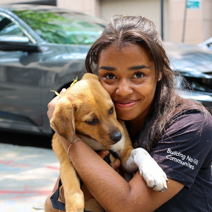 Woman at PAWS Chicago with rescue dog