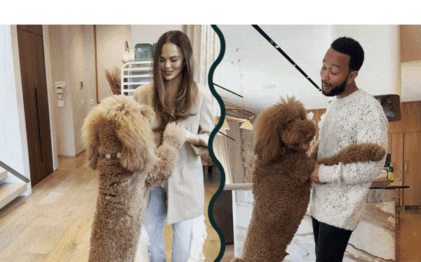 We're Six Months Old!