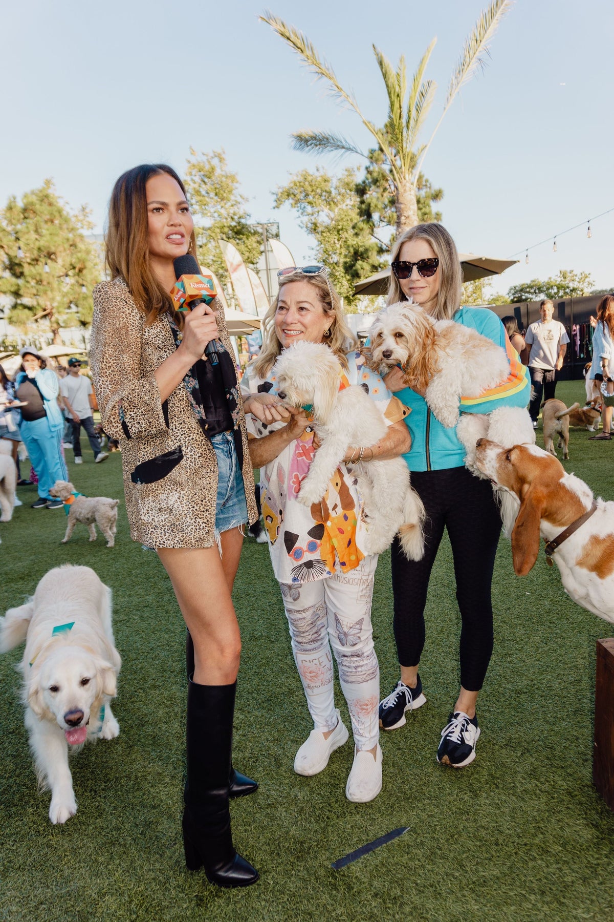 Chrissy & Lots of Dogs