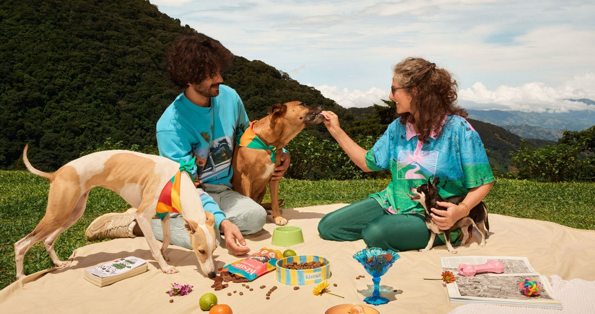 The Ultimate Guide to Traveling with Your Dog
