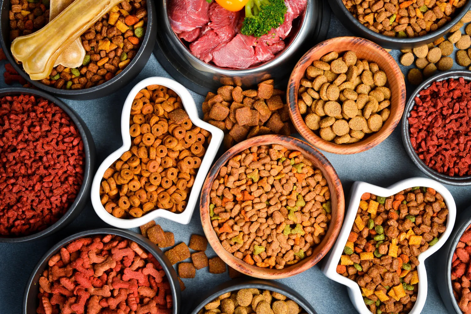 Best High-Protein Dog Food: What To Look For