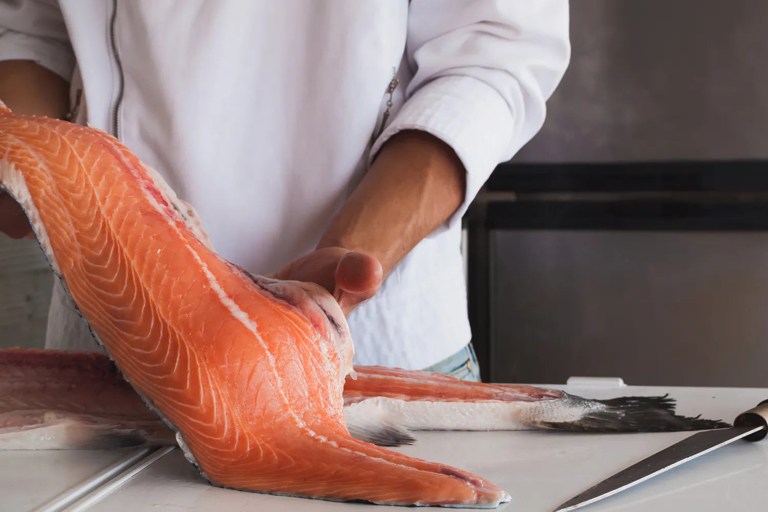 Is Salmon Good for Dogs? What You Need To Know