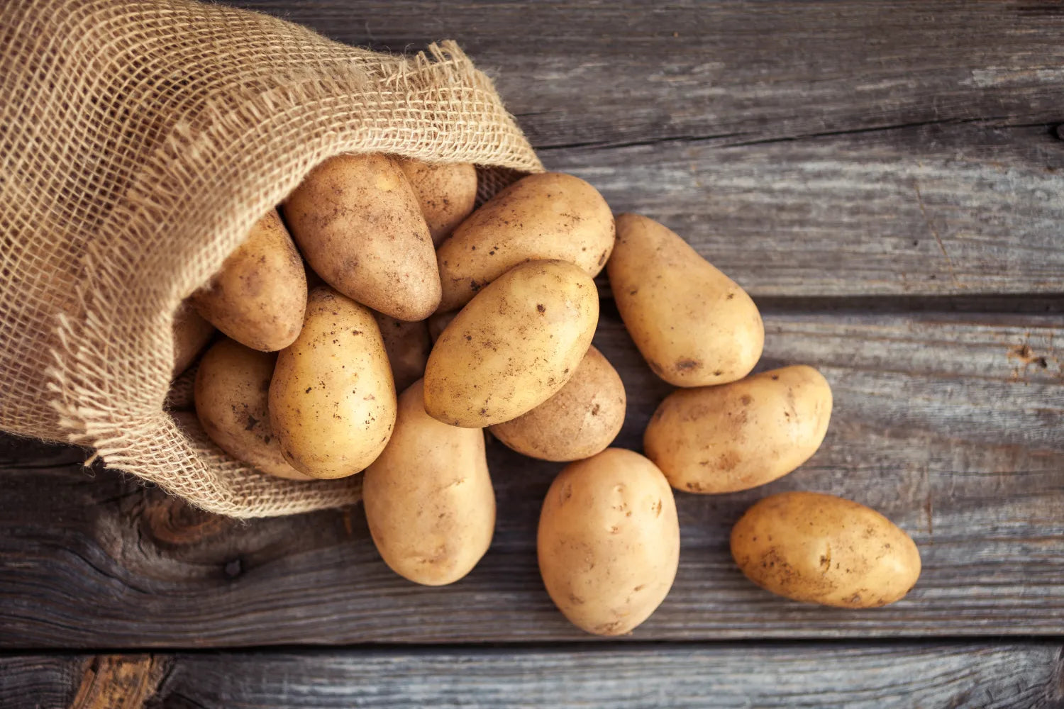 Are Potatoes Good for Dogs? Raw vs. Cooked & What To Avoid