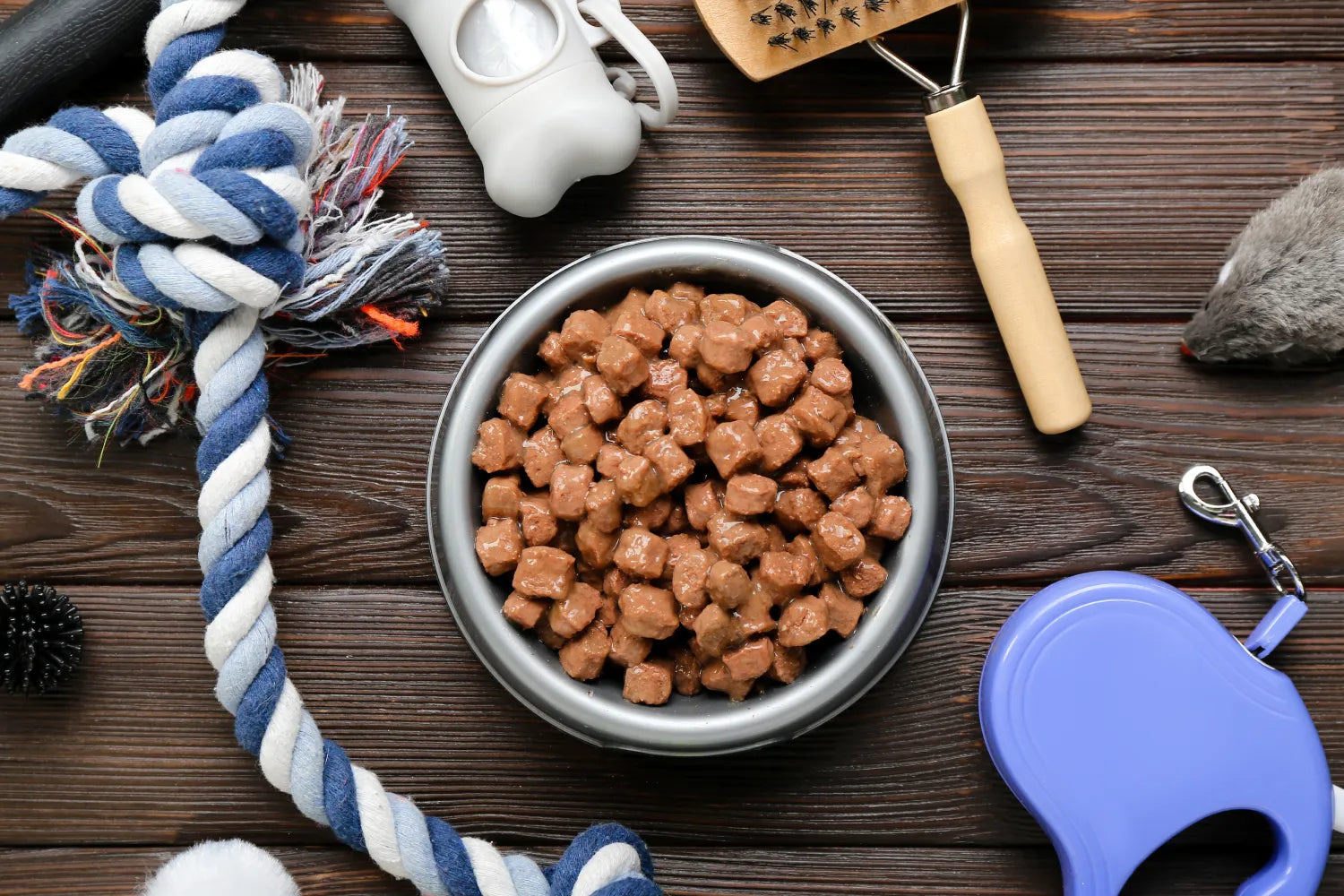 Wet vs. Dry Dog Food: Which Is Better for Your Dog?