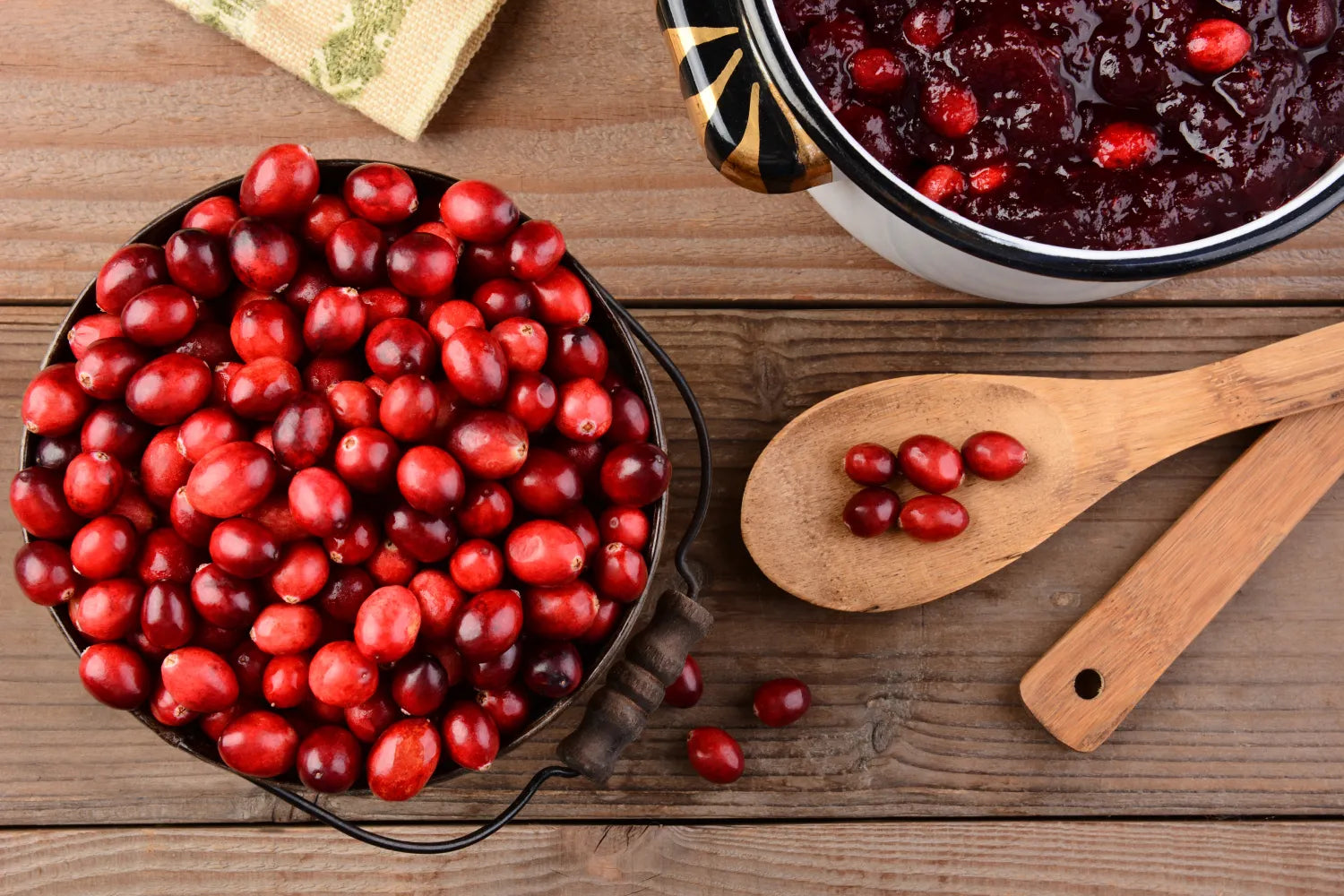Can Dogs Eat Dried Cranberries? Fresh vs. Dried Guide