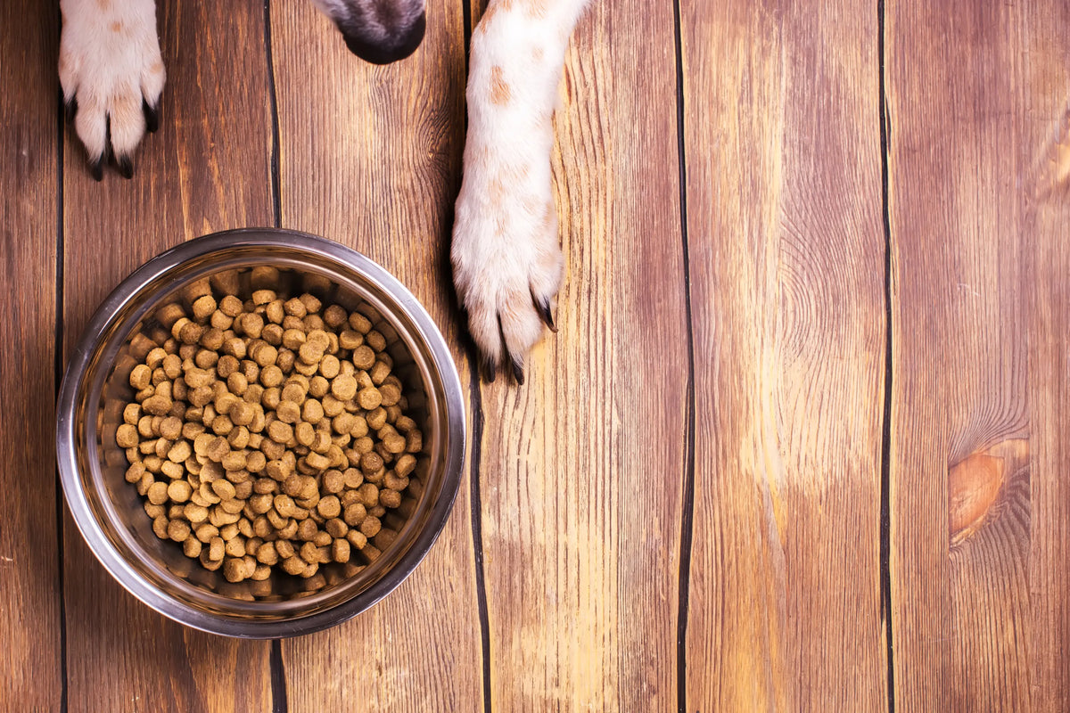 Kismet vs. Air-Dried Dog Food: Complete Guide