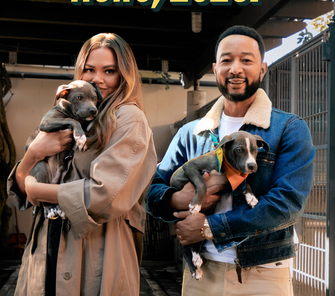 Holiday Cheer & New Beginnings