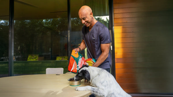 What if your dog's food did more than fill their bowl?