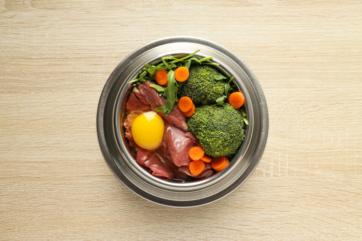 Kismet vs. Raw Dog Food: Side-by-Side Comparison