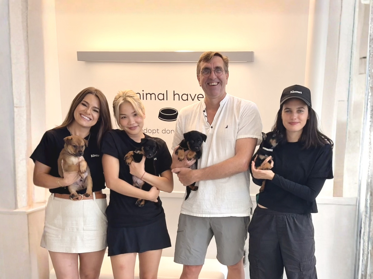 Why We’re Proud to Support Animal Haven