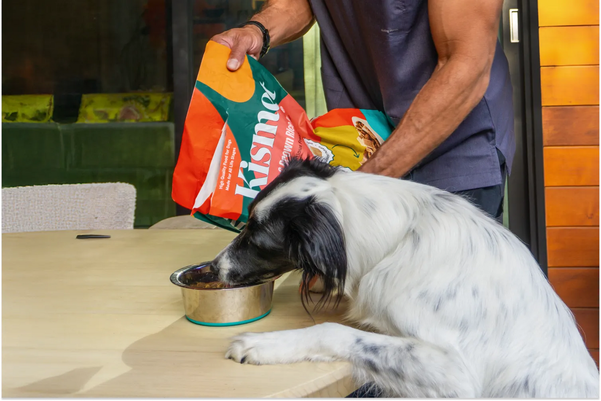 Kismet vs. Premium Dry Dog Foods and Fresh Food Brands