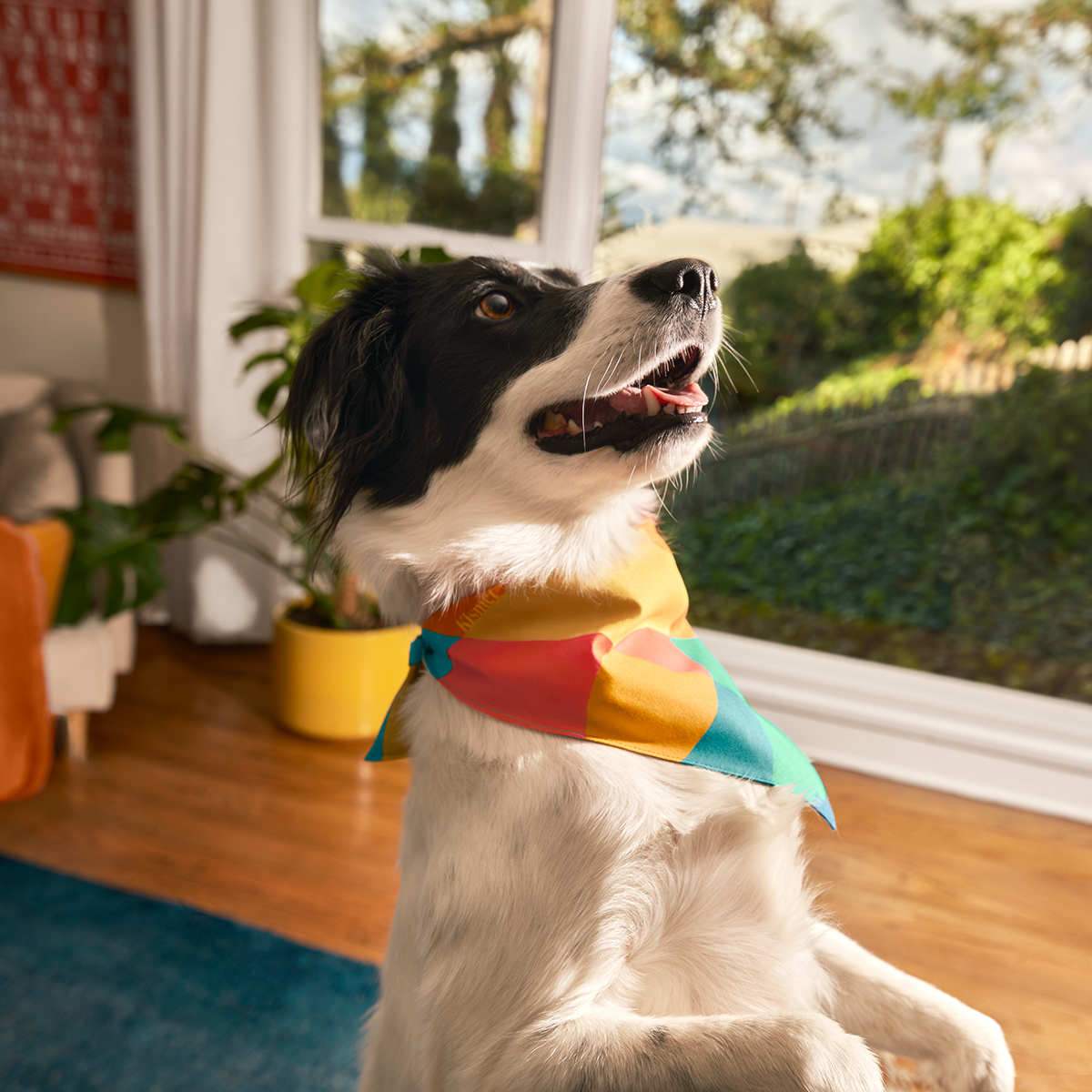 Pup & Parent Essentials