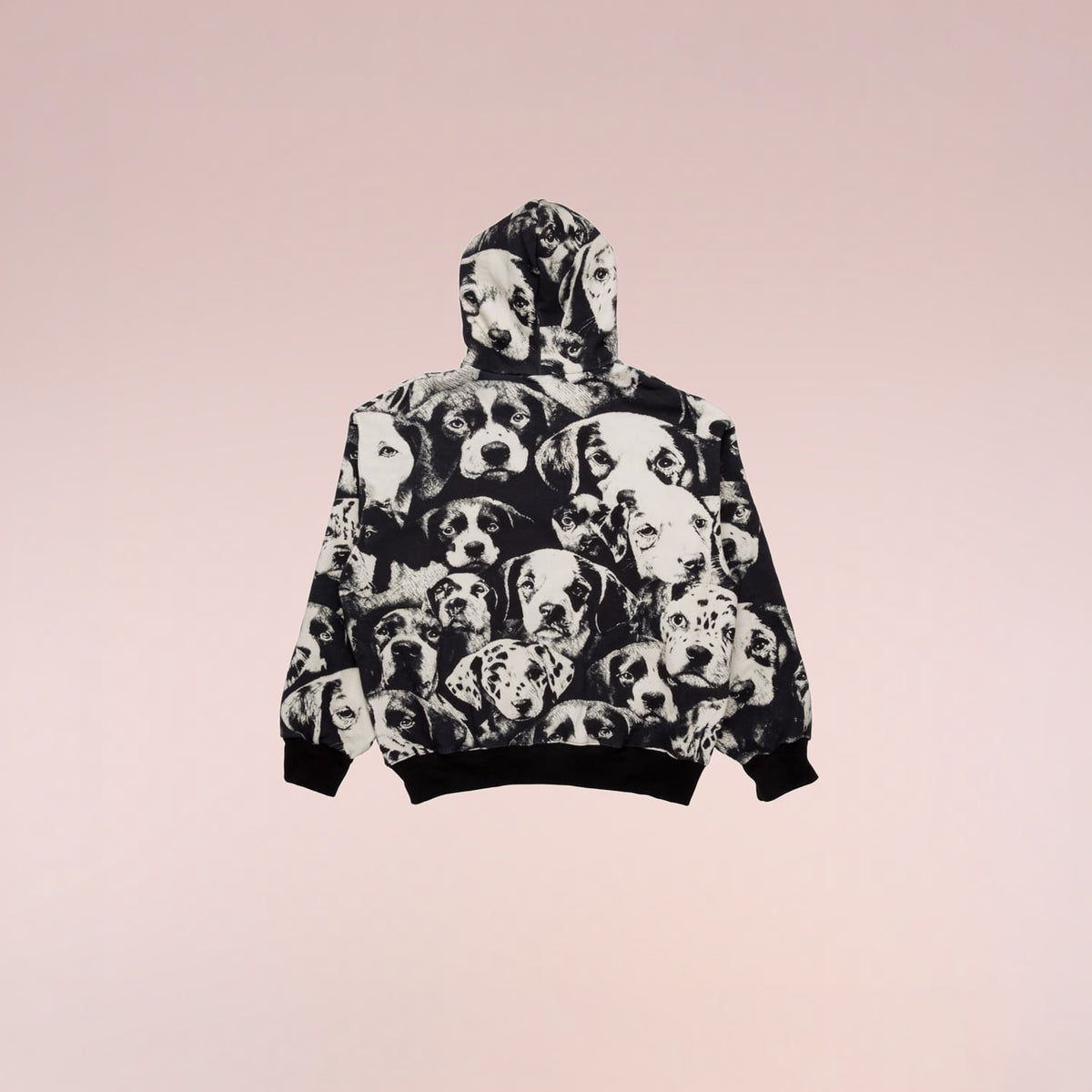 Cherub Puppies Hoodie