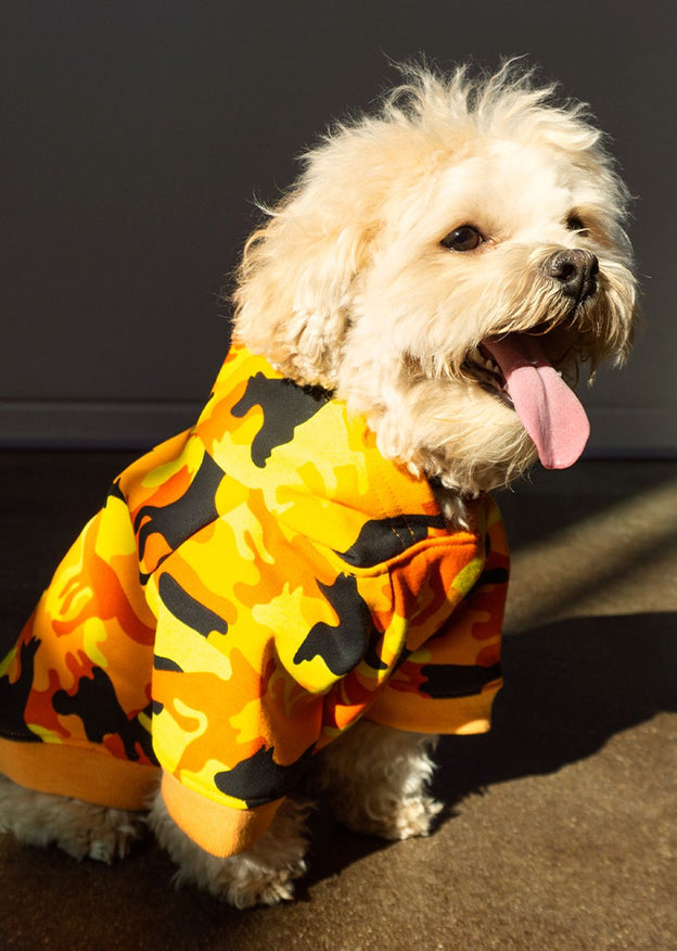 Dog Camo Hoodie