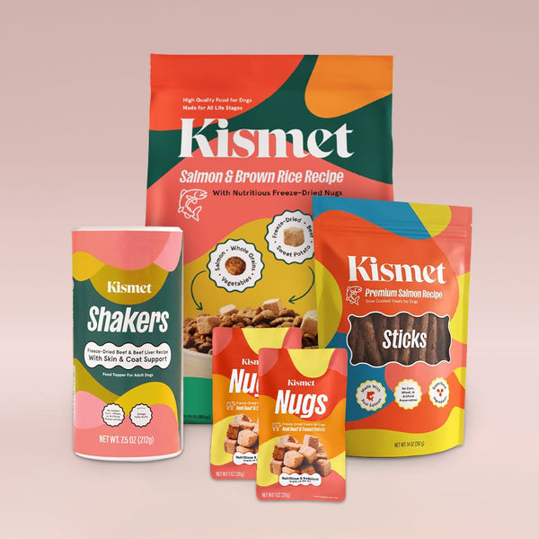 Premium Dog Starter Pack (Salmon)