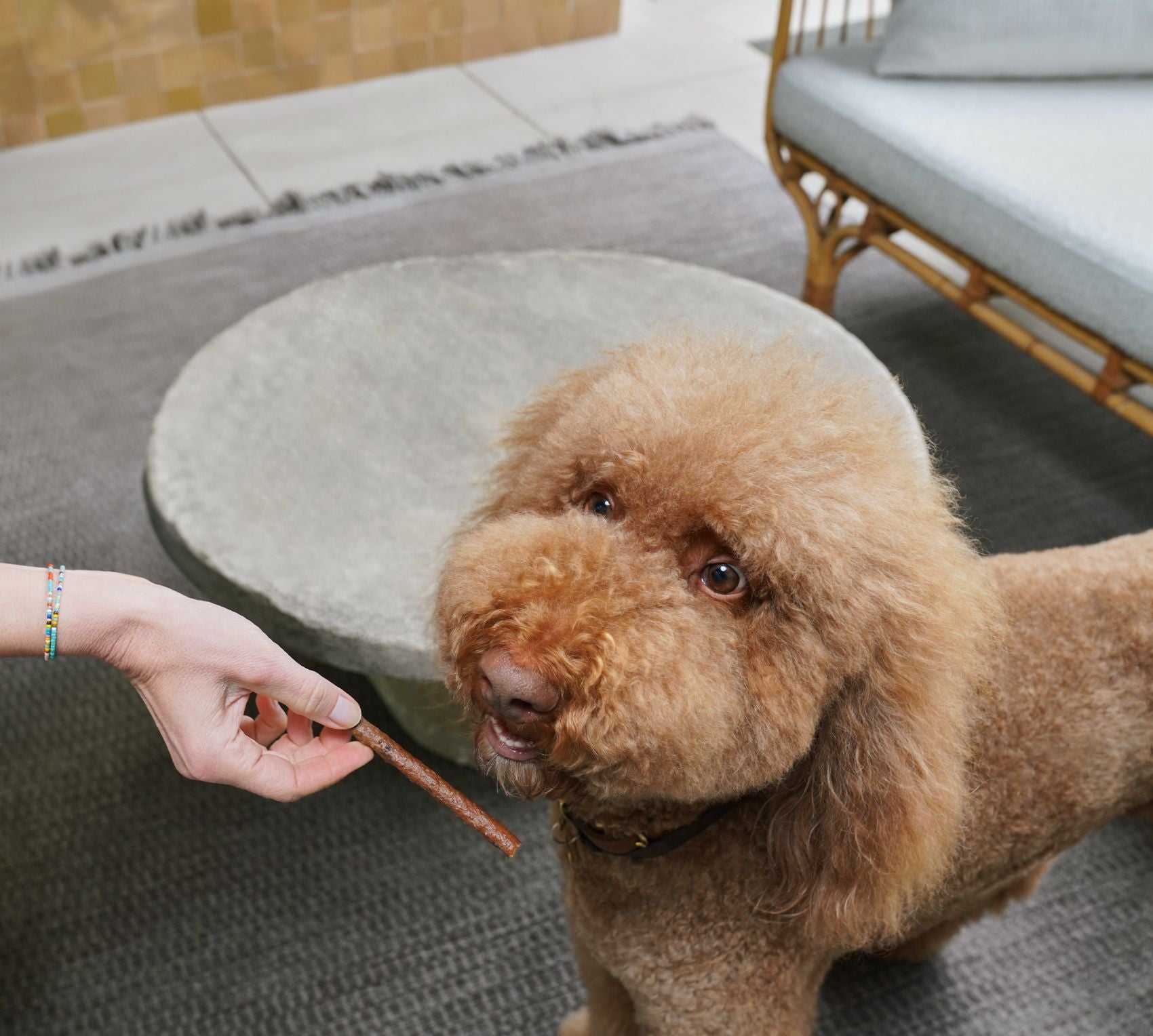 Slow Cooked Salmon Sticks (Partner Perk)