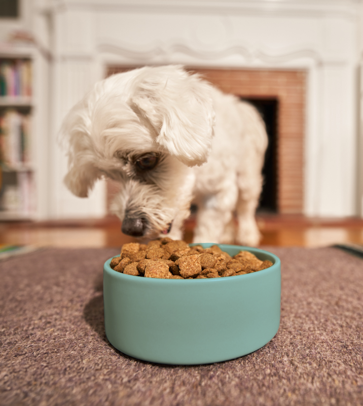 Chicken & Barley Recipe With Nutritious Freeze-Dried Nugs