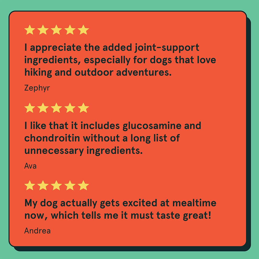 Three five-star review quotes
