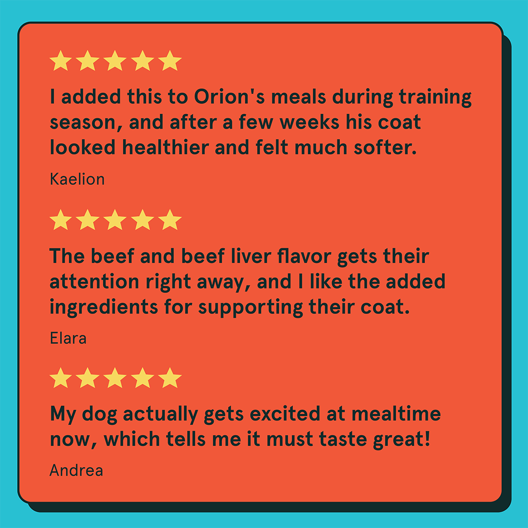 Three five-star review quotes