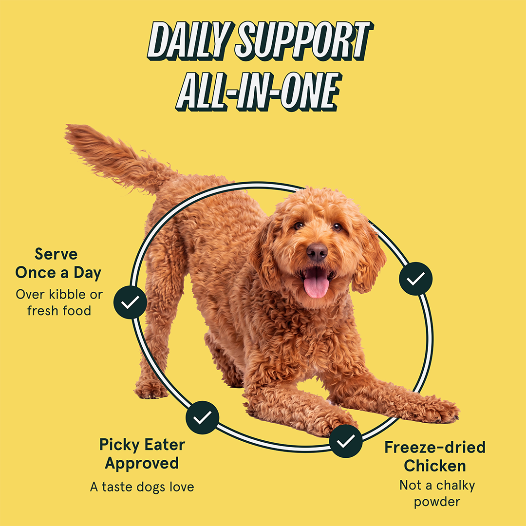 Doodle in a play bow with callouts: serve once a day over kibble or fresh food, picky-eater approved, freeze-dried chicken