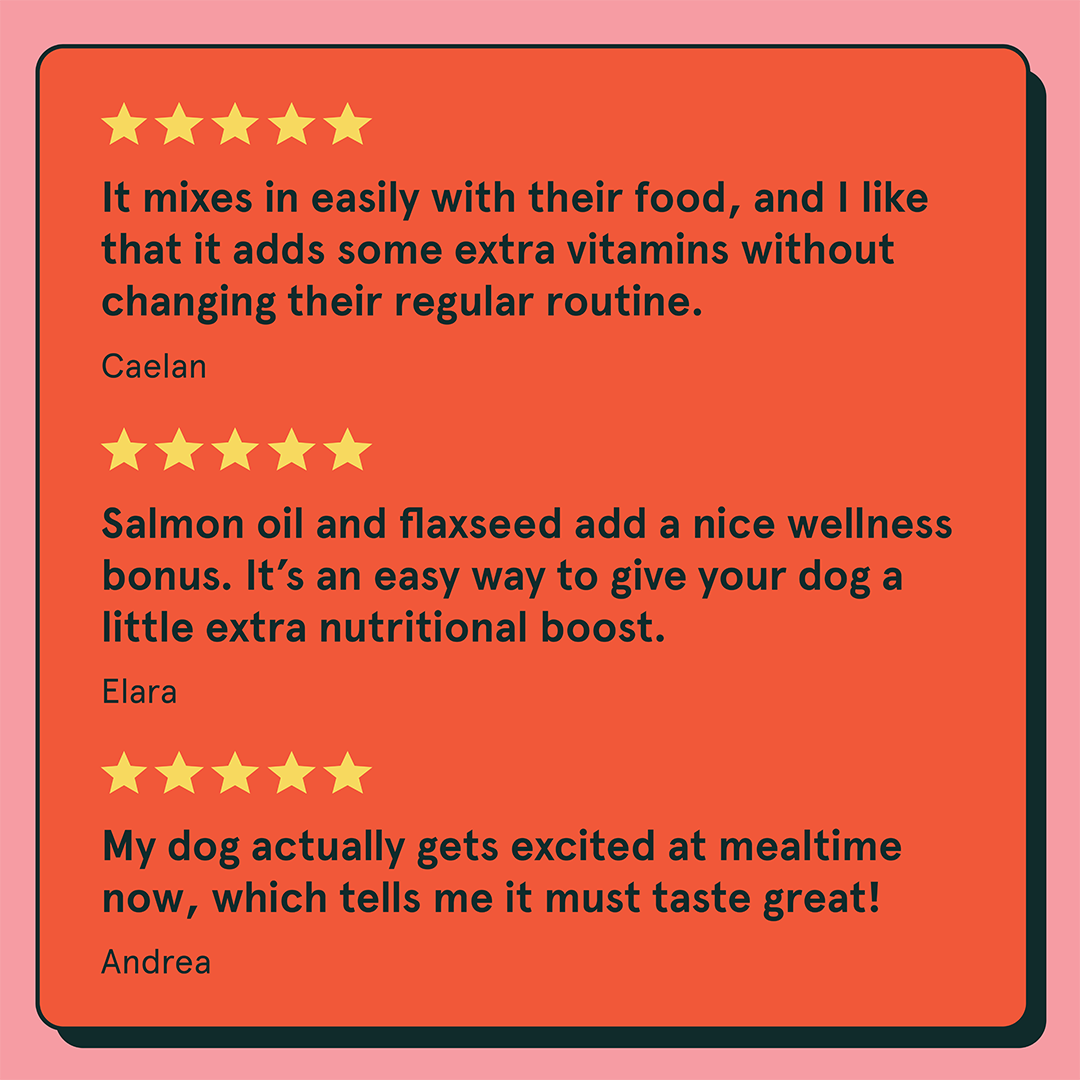 Three five-star review quotes