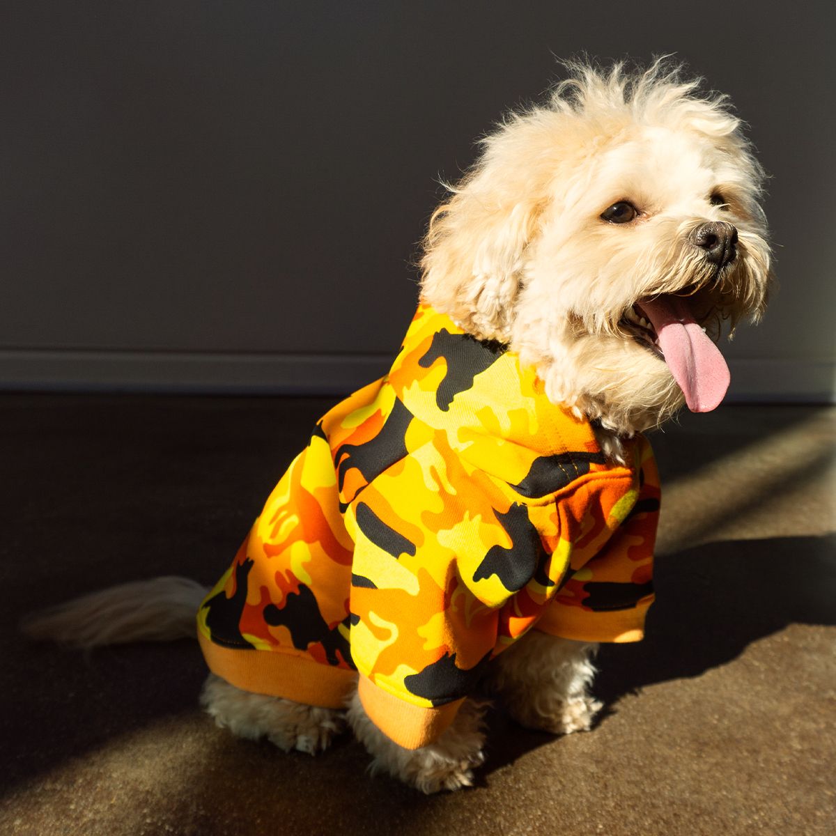 Dog Camo Hoodie
