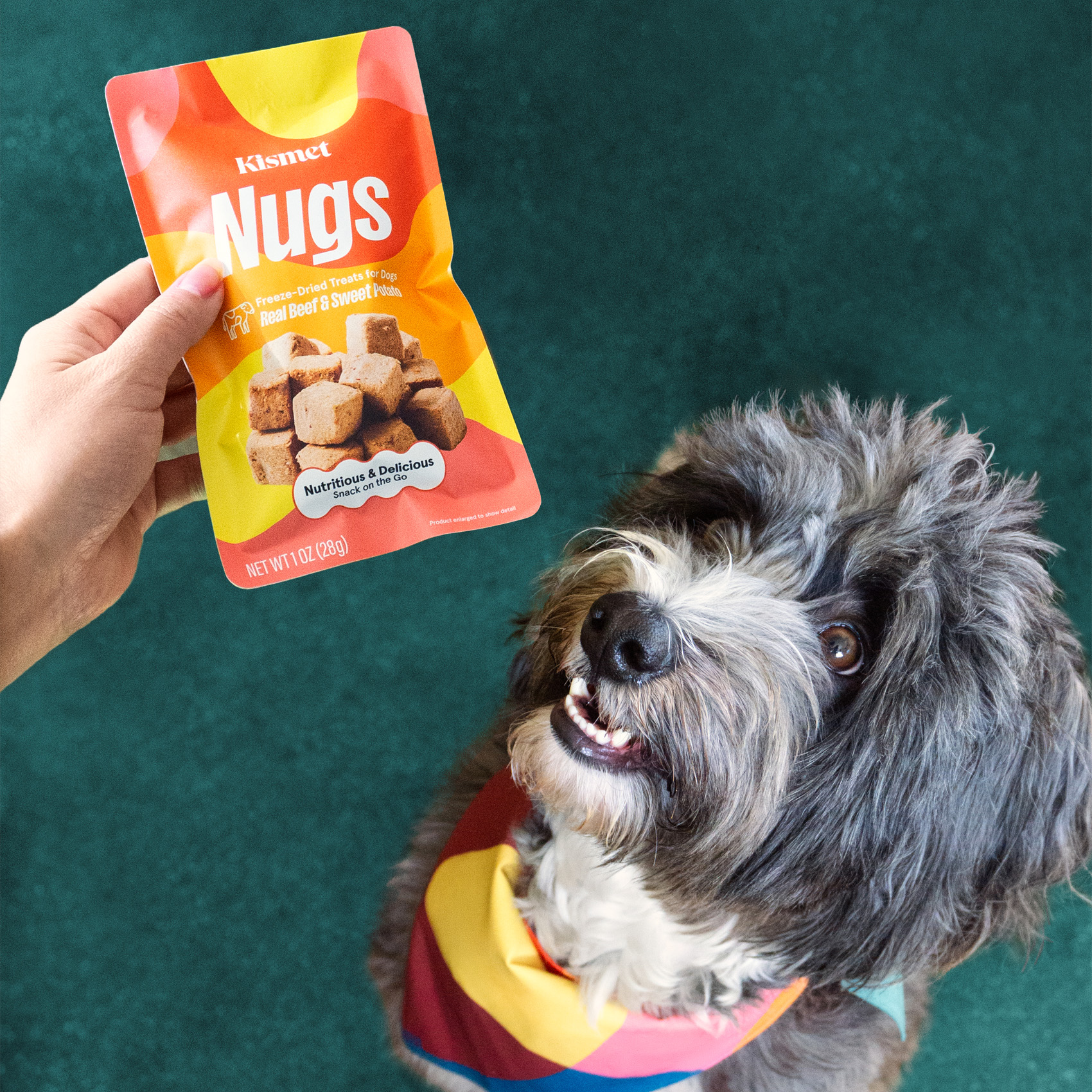 Beef & Sweet Potato Nugs Protein Boost 4-Pack (Partner Perk)