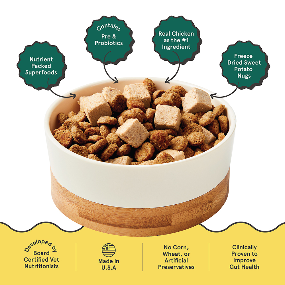 Dog food in a bowl with health benefits text on a white background