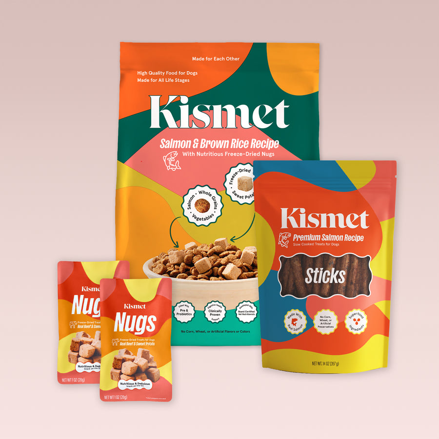 Dog Starter Pack: Salmon & Brown Rice 9 lb bag, Slow Cooked Salmon Sticks, and two Nugs packs