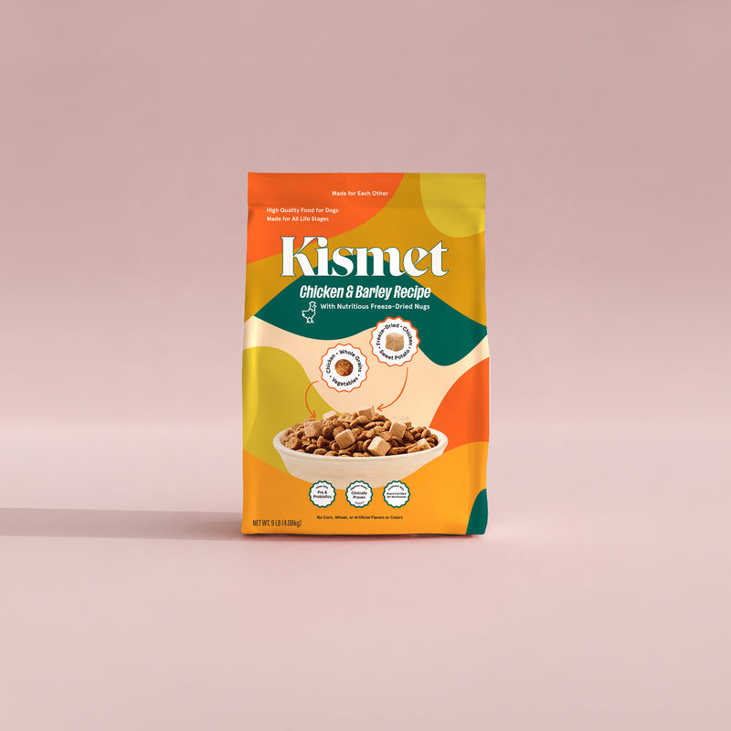 Chicken & Barley Dog Food for Digestive Health, with Live Probiotics