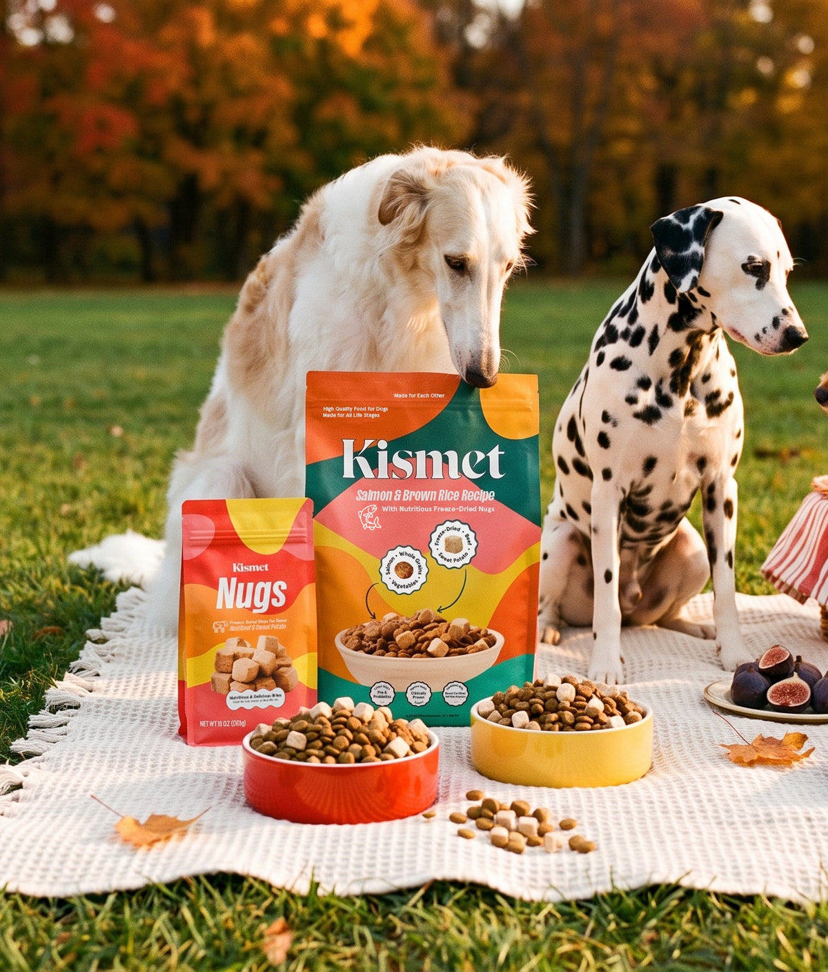 Kismet homepage hero, mobile crop A2 (28 Oct 2026): Salmon & Brown Rice bag and Nugs bag on a picnic blanket with two dogs