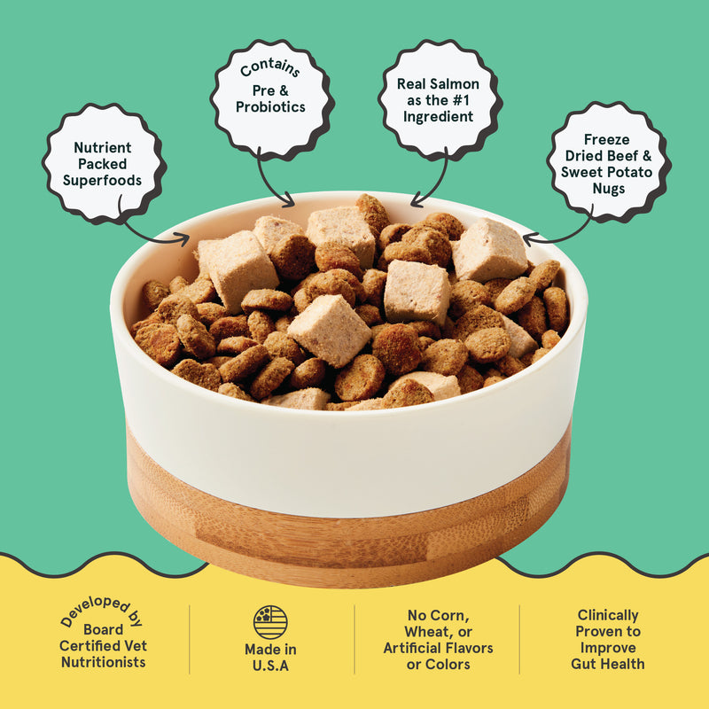 Salmon & Brown Rice Dog Food with Freeze-Dried Nugs