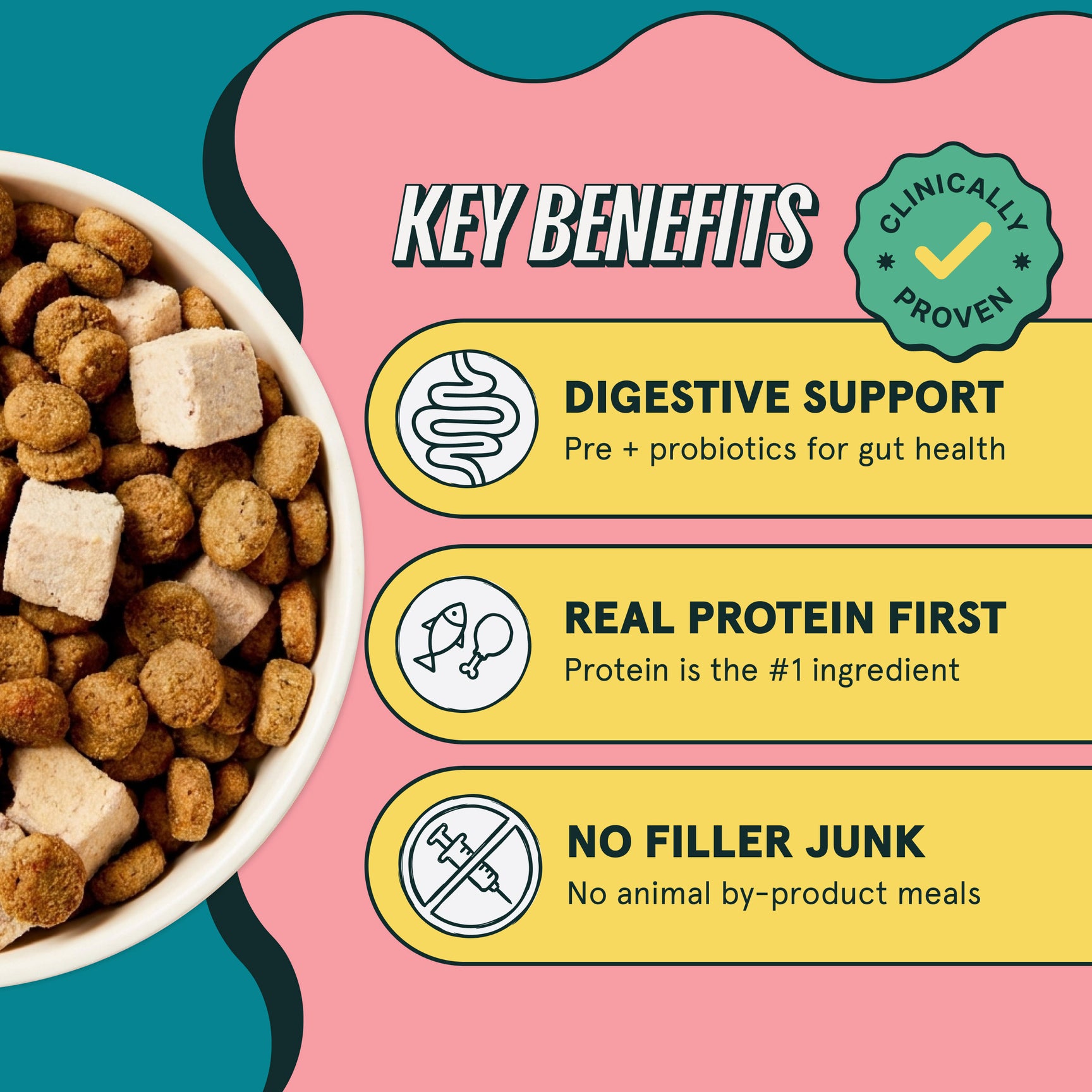 Dog food bowl with key benefits text on a colorful background
