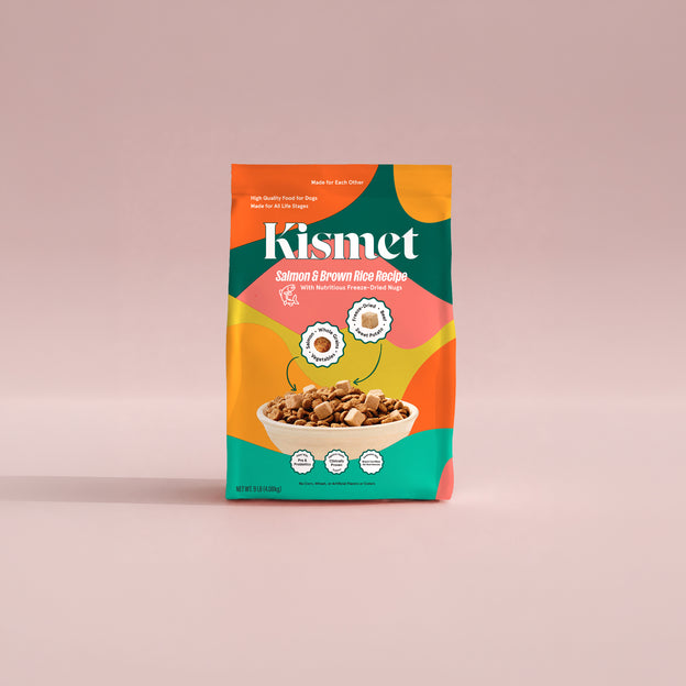 Salmon & Brown Rice Dog Food (Chicken-Free) for Sensitive Stomachs & Skin, with Live Probiotics