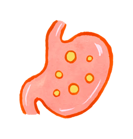 Illustration of Pre & Probiotics at work on transparent background