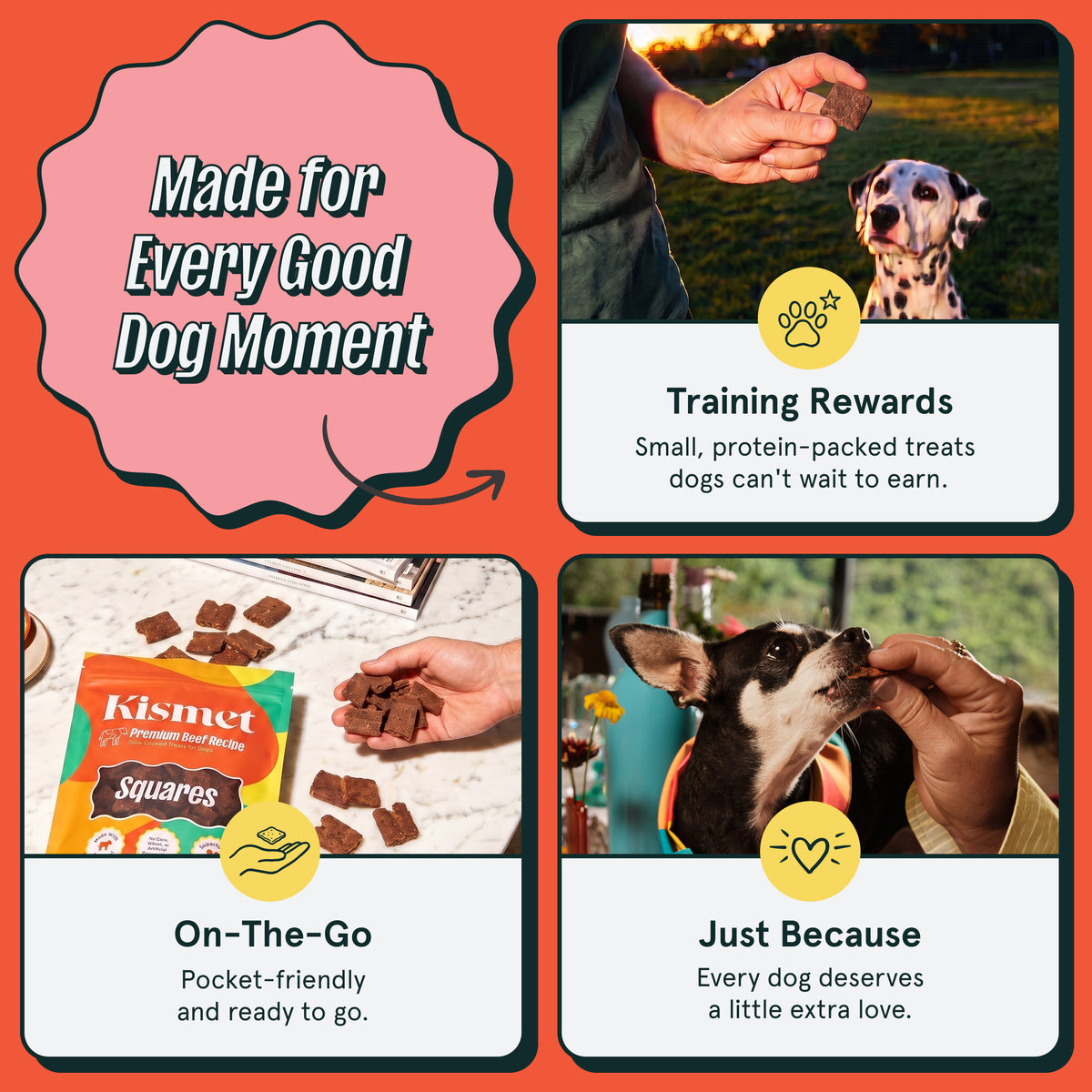 Made for every good dog moment: beef squares as training rewards, on the go, and just because