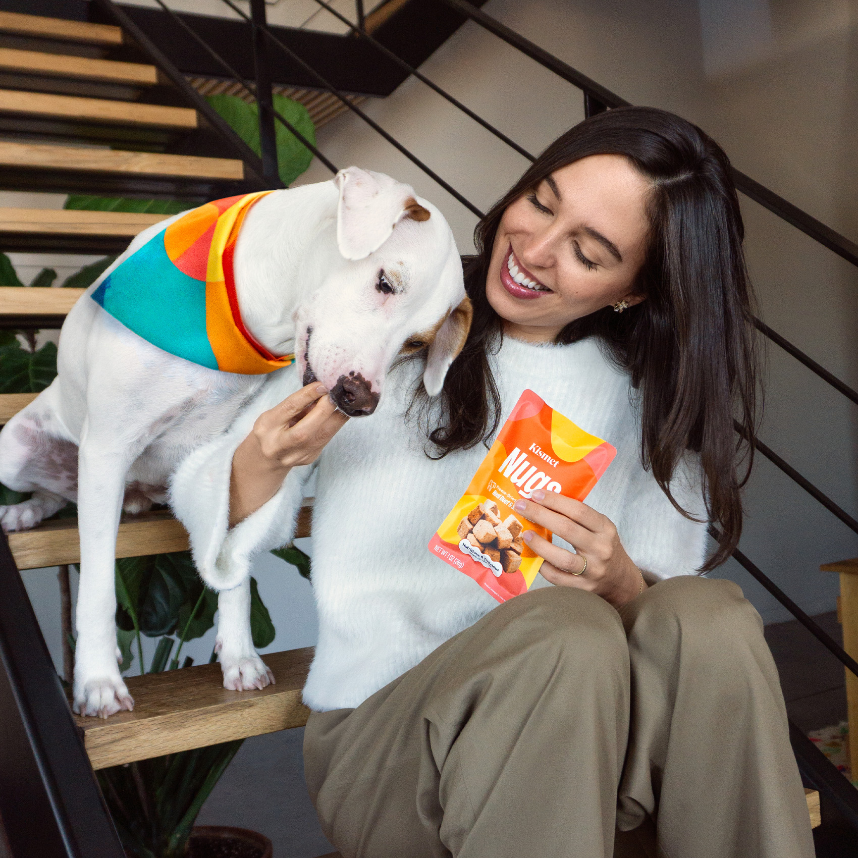 Beef & Sweet Potato Nugs Protein Boost 4-Pack (Partner Perk)