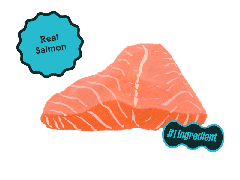 Real salmon as the #1 ingredient (no animal by-products)