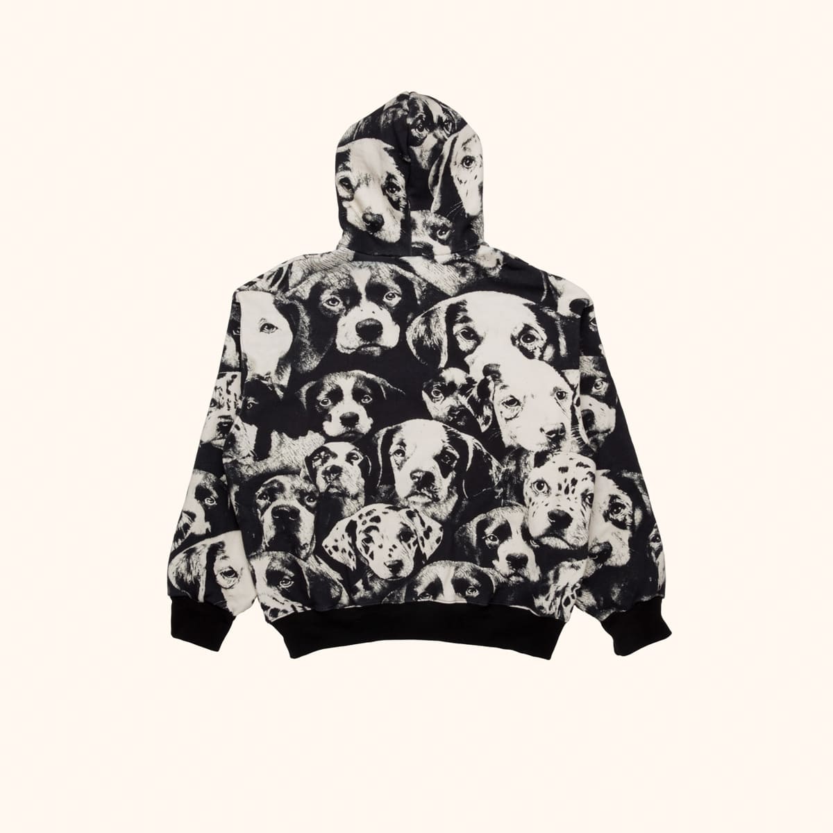 Cherub Puppies Hoodie