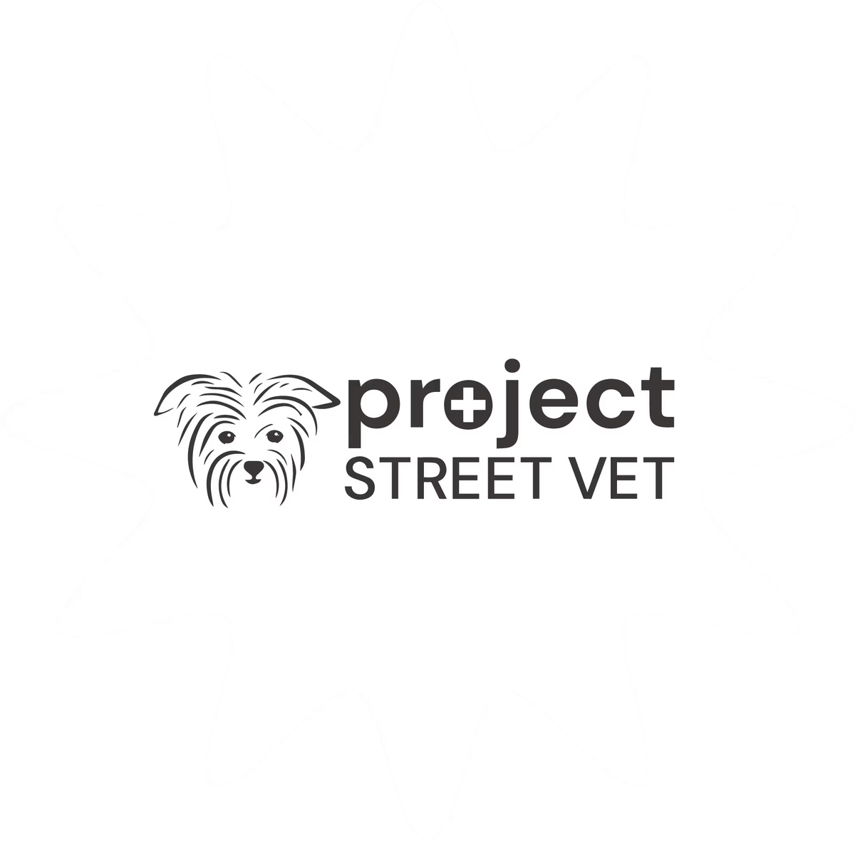 Project street vet
