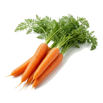 Veggies Rich in Vitamins & Antioxidants