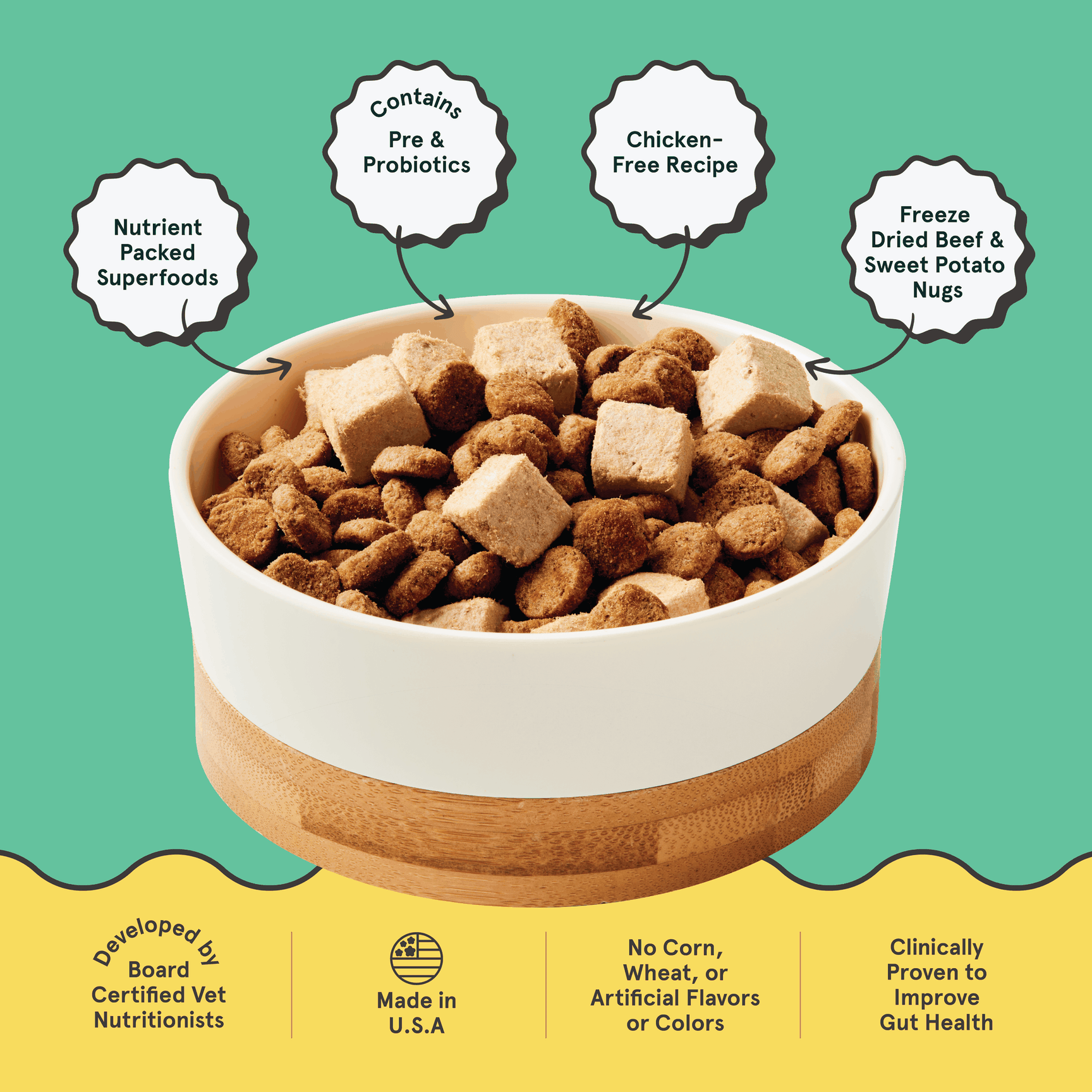 Bowl of Kismet chicken-free salmon and brown rice dog food with freeze-dried beef and sweet potato Nugs