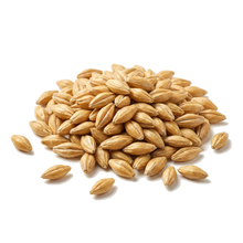 Barley