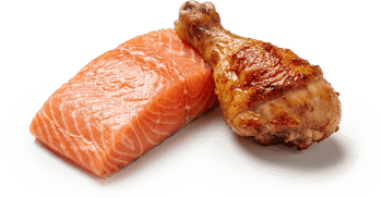 Real Animal Protein Is the #1 Ingredient